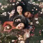 Gucci Bloom Ambrosia di Fiori Eau De Parfum Intense 50 ml