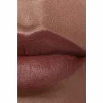 Chanel Rouge Allure Velvet Luminous Matte Lip Colour 04:00