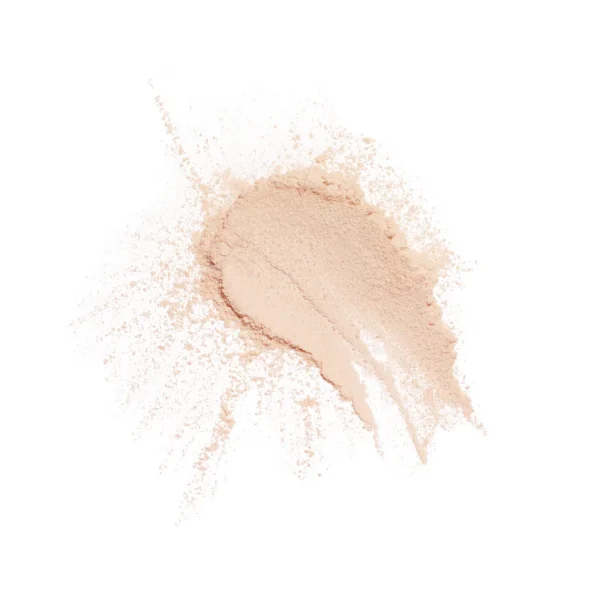 Chanel Poudre Universelle Libre Natural finish Loose Powder 12