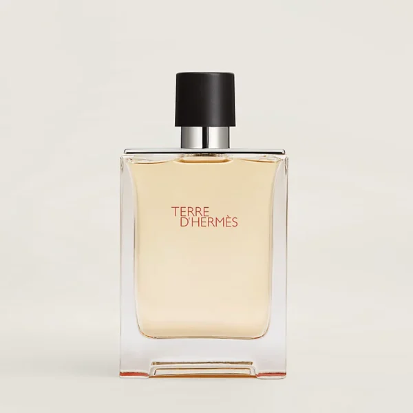 Hermes Terre D'Hermes Edt 100 ml