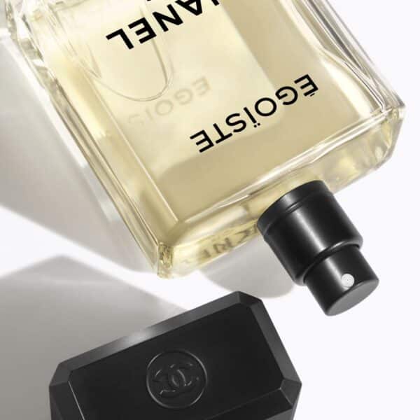 Chanel Egoiste Pour Homme EdT 100 ml