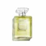 Chanel No 19 Poudrè EDP Spray 100ml
