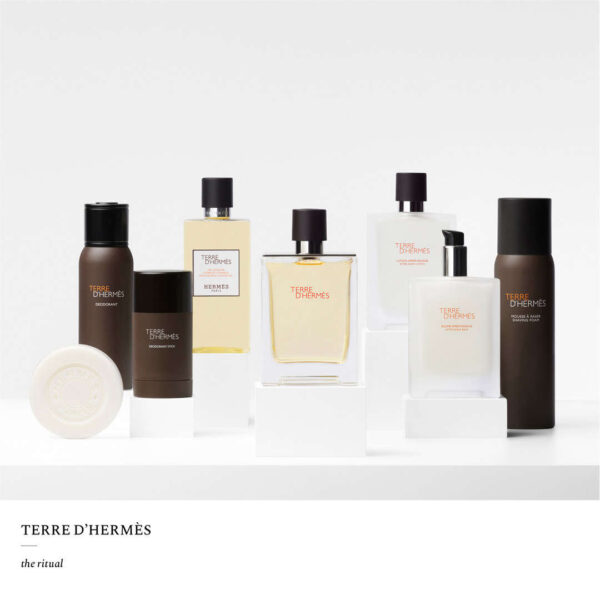 Hermes Terre D' Deo Stick 75 ml