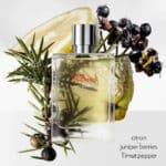 Hermes Terre D'Hermes Eau Givree Edp 100 ml