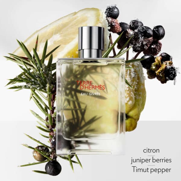 Hermes Terre D'Hermes Eau Givree Edp 100 ml
