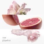 Hermes Eau De Pamplemousse Rose Edc 100 ml