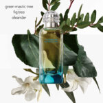 Hermes Un Jardin En Mediterranee EDT 100ml