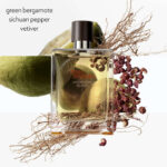 HERMÈS Terre D' Hermès Eau Intense Vetiver EdP 50 ml