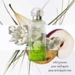 Hermes Un Jardin Sur Le Toit Edt 100 ml