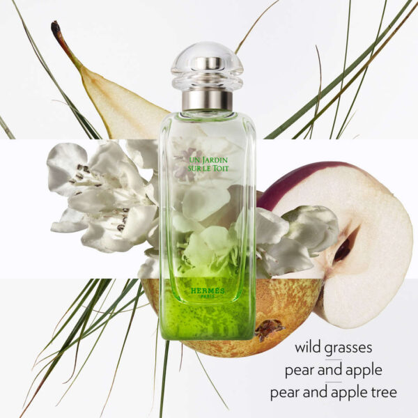 Hermes Un Jardin Sur Le Toit Edt 100 ml