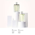 HERMÈS H24 EdT 50 ml