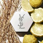 Yves Saint Laurent L'Homme EdT 100 ml