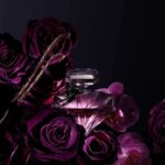 Lancôme La Nuit Trésor 75ml Kvinner