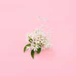 Gucci Flora Gorgeous Gardenia Eau De Parfum 100 ml