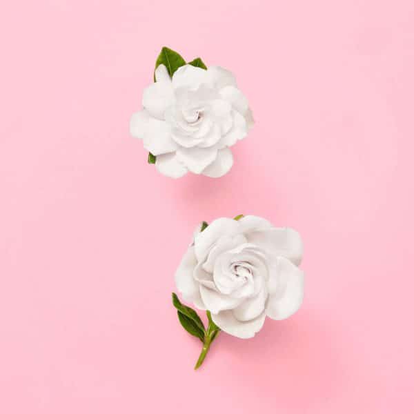 Gucci Flora Gorgeous Gardenia Eau De Parfum 100 ml